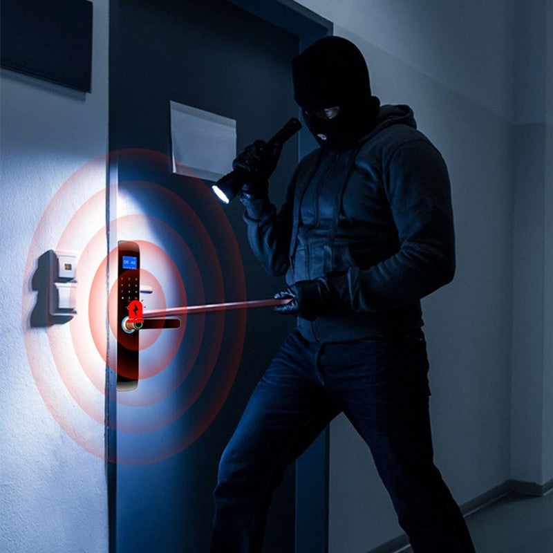 Certification authority Security Intelligent Door Lock Biometric Fingerprint Lock Safe Eletronic Door Smart Unlock Digital Lock